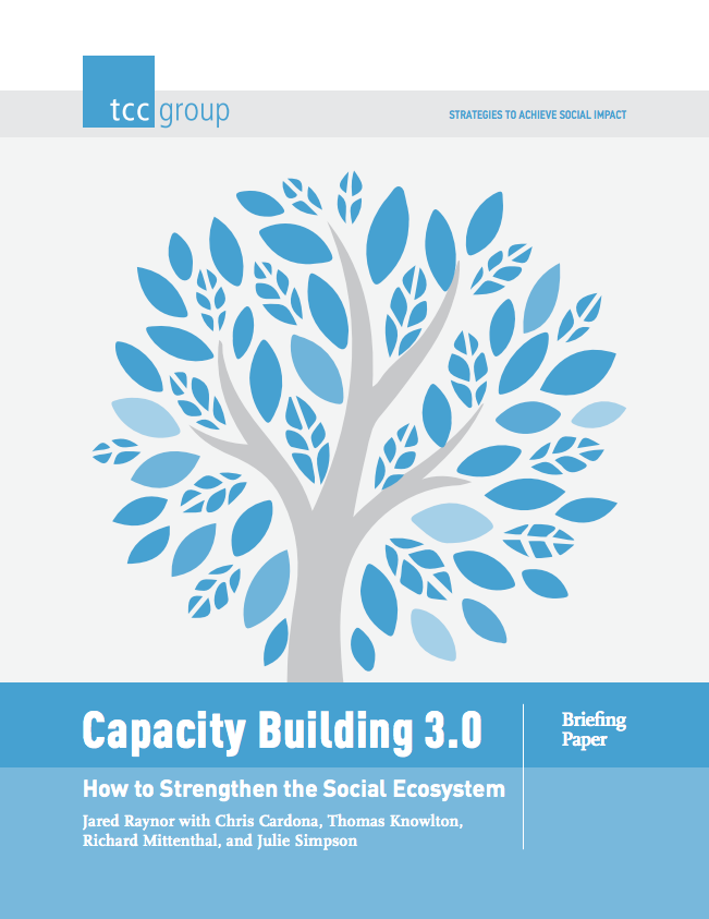 Capacity Building 3.0: How to Strengthen the Social Ecosystem - TCC Group